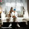  Melody Roja - Yo Yo Honey Singh Poster